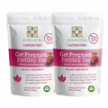🌿 Get Pregnant Fertility Fruits Tea - Organic Herbal Blend